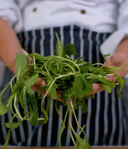 馬蘭頭焯水，切成細末。